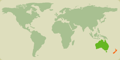 Map of countries where Huntshop ships to